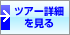 ツアーの詳細を見る
